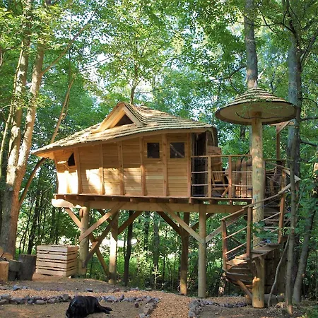 Treehouses Karlov Pod Pradedem *