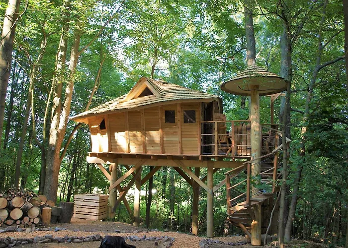 Treehouses Karlov Pod Pradedem *